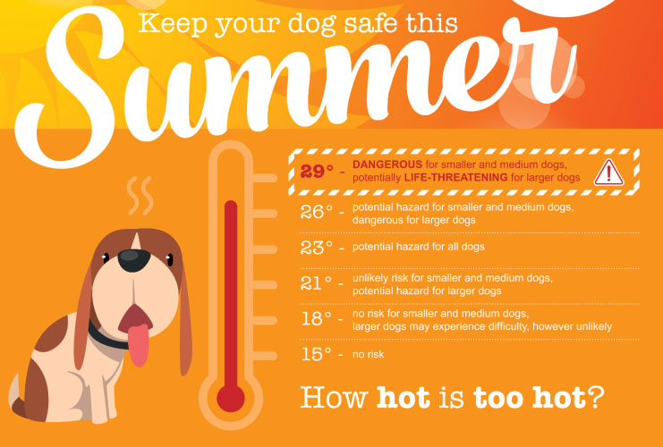 How To Keep Dogs Cool In Summer - Worm Counts For Pets